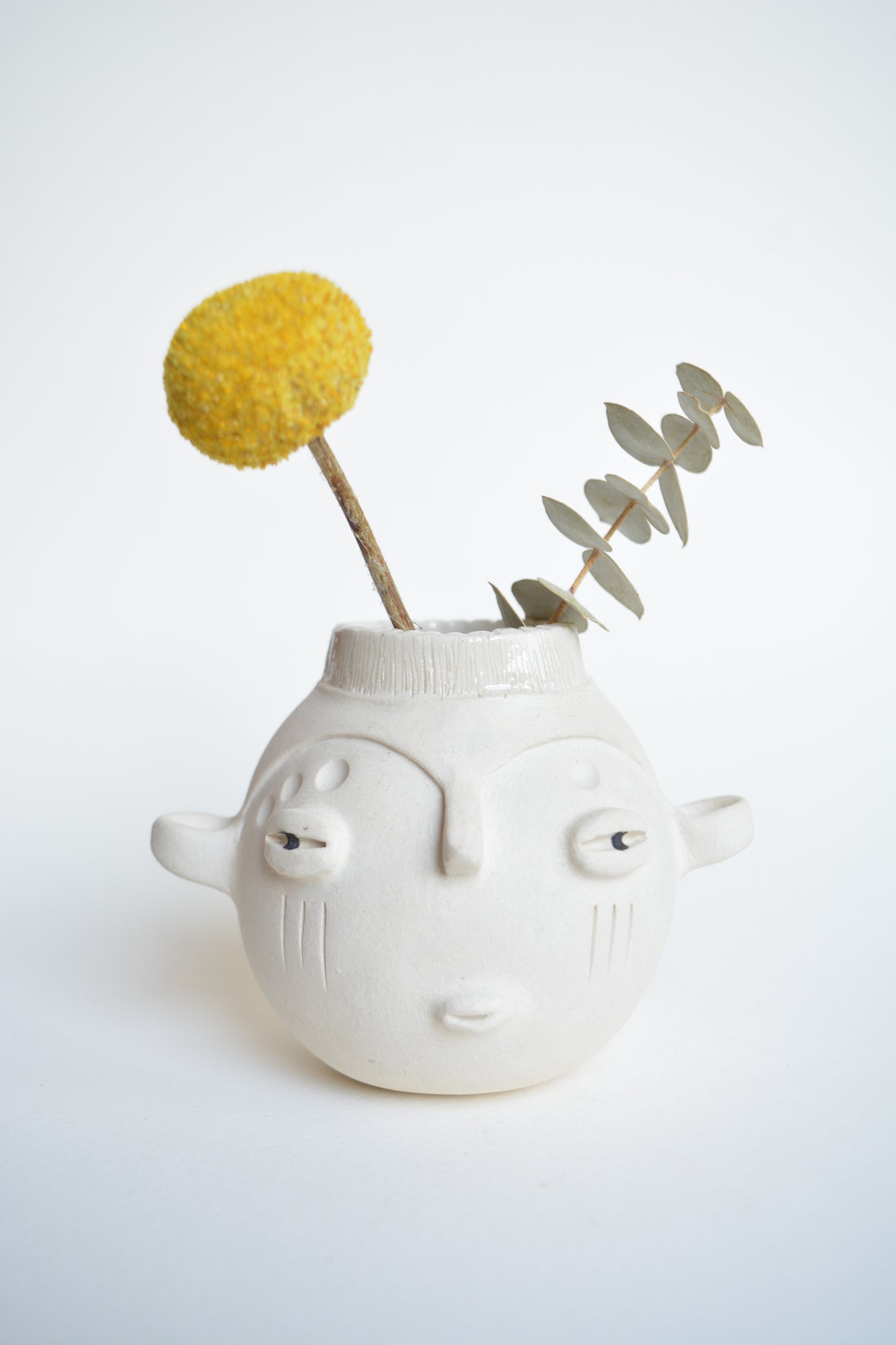 Vase: Sudaca and the snake